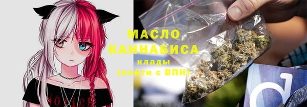 ешки Бородино