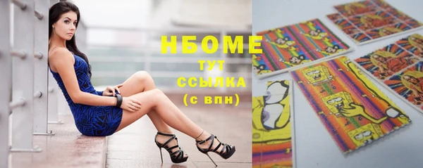 ешки Бородино