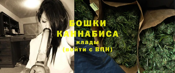 ешки Бородино